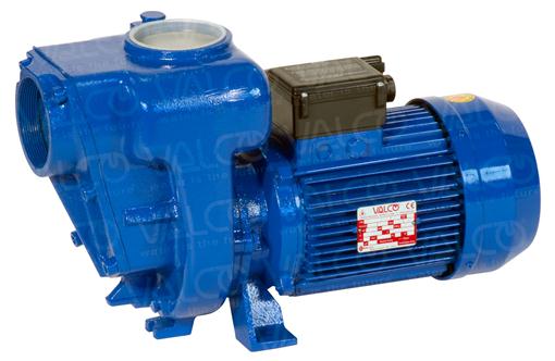 close-coupled electric version pump